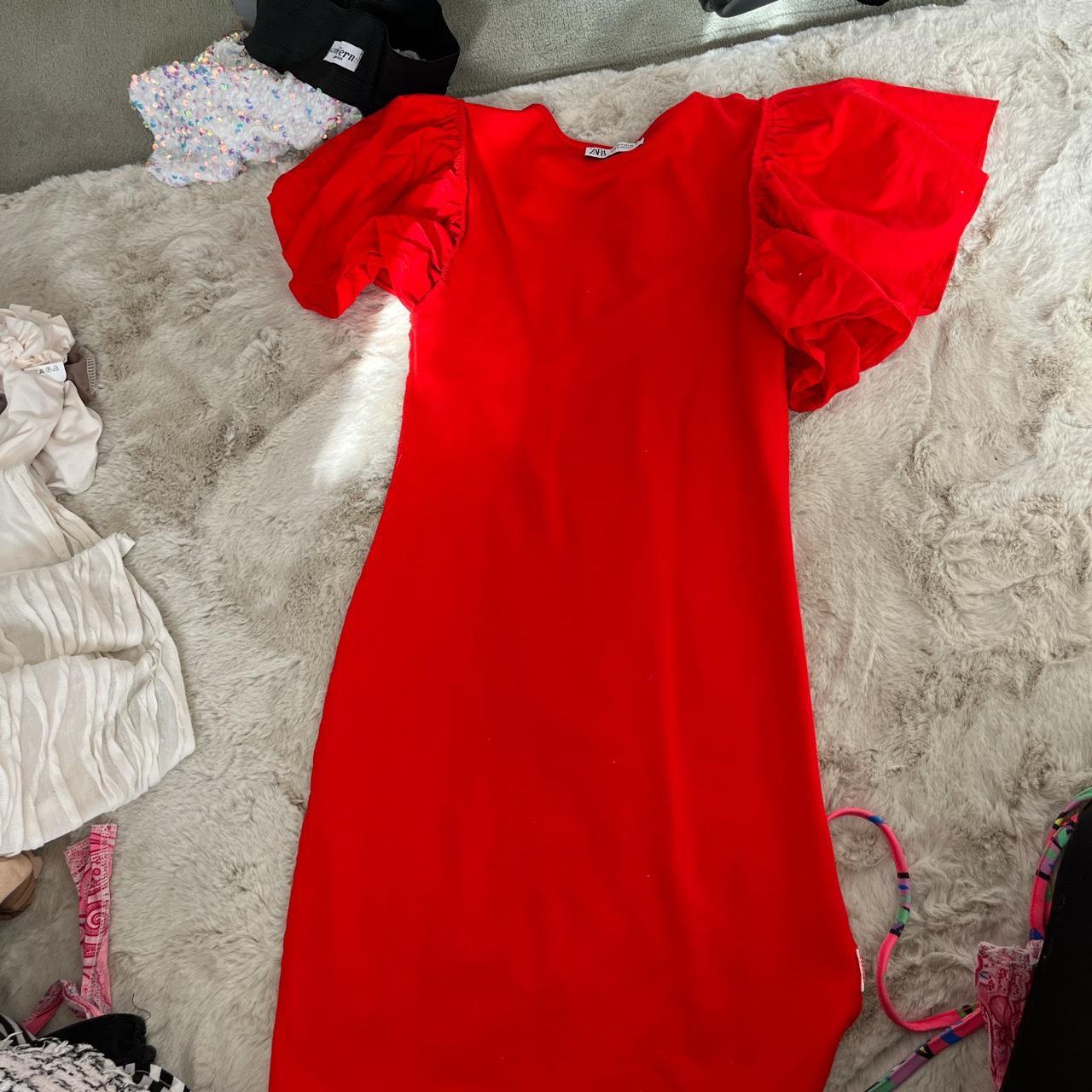 Zara ruffle sleeve dress Depop