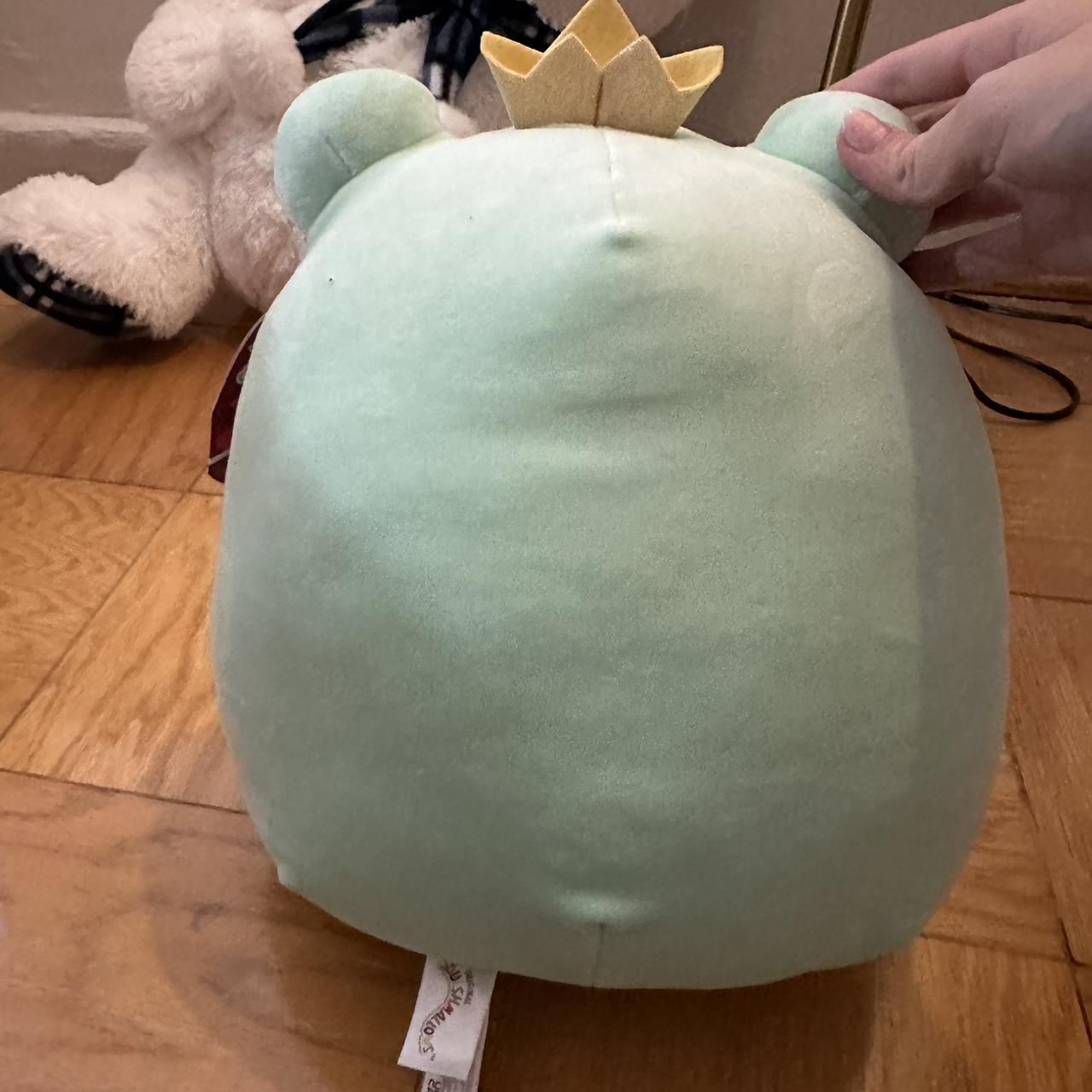 fenra the frog squishmallow, valentine's day - Depop