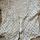 item listed by josie_wood