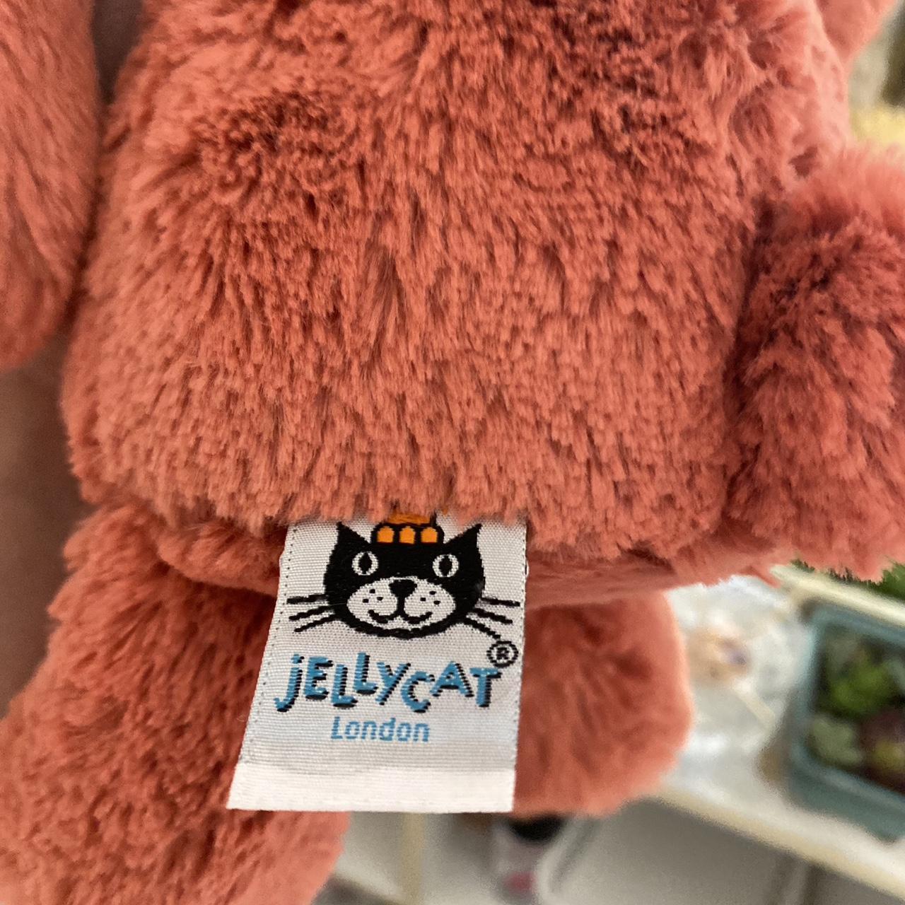 Jellycat Cinnamon medium excellent used condition no... Depop