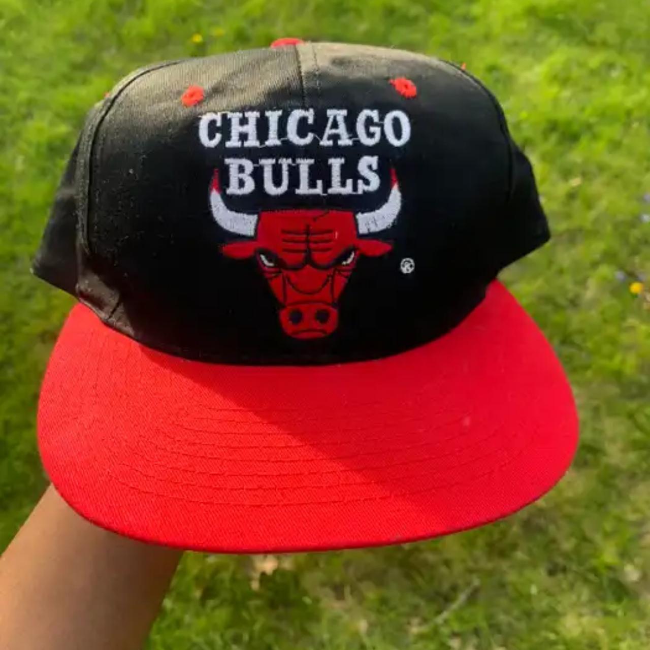 retro bulls