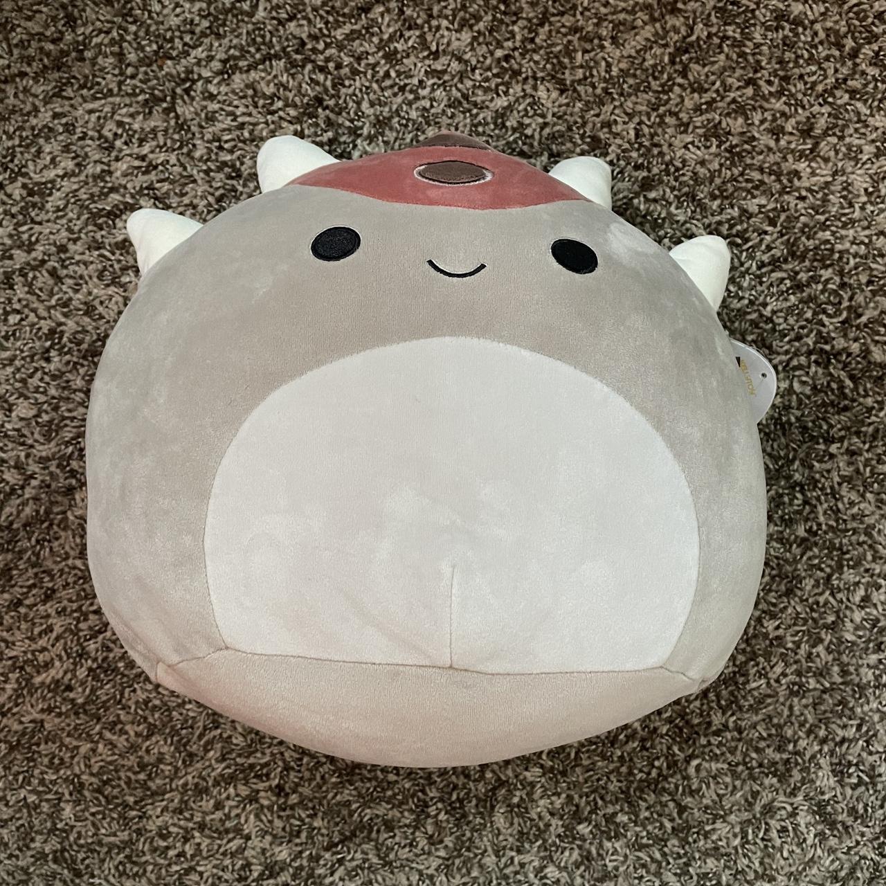 Ainhoca squishmallow 10” Tags #squishmallow - Depop