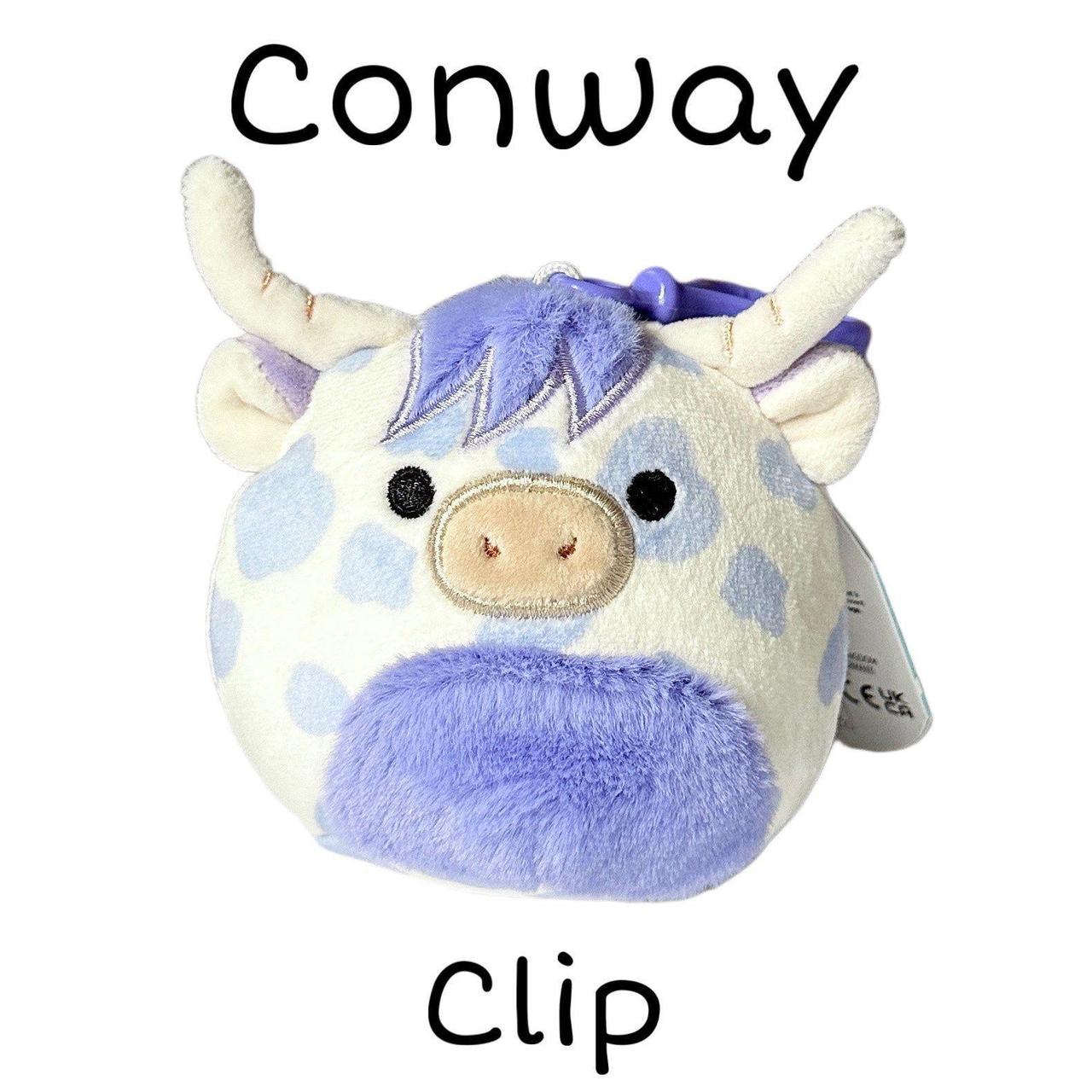 Conway squishmallow store