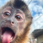 myafricalucy's profile picture