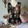 item listed by vintagevalleygirl
