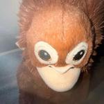 allisonkolowicz's profile picture