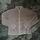 item listed by notmiyuh