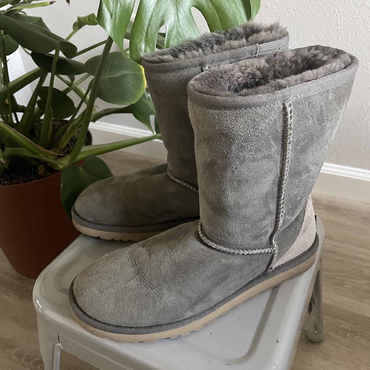 Women's grey sale short ugg boots