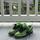 item listed by chatterboxfinds