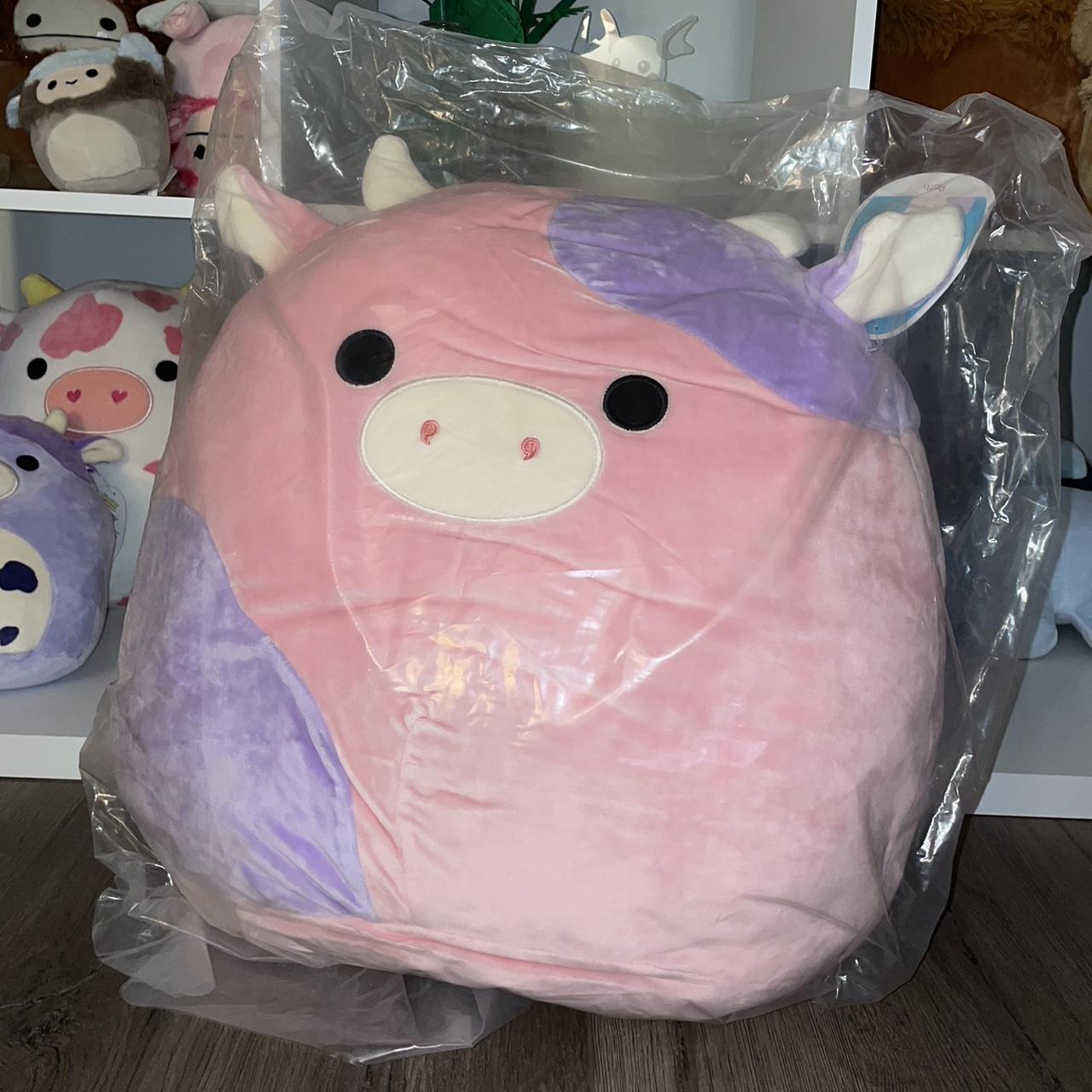 Squishmallows Stuffedanimals Depop
