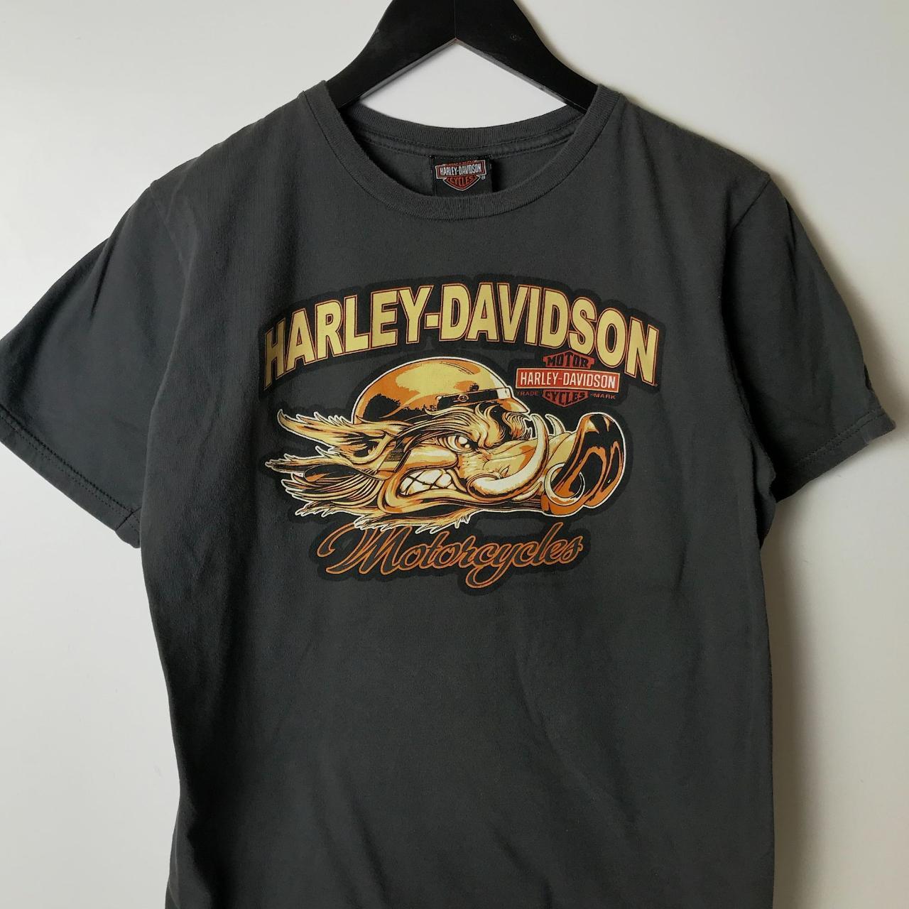 2011 Harley Davidson Horny Toad Temple TX T Shirt... - Depop