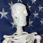 chancedoherty's profile picture