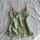 item listed by wildstylevintage
