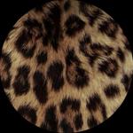 ellajane789's profile picture