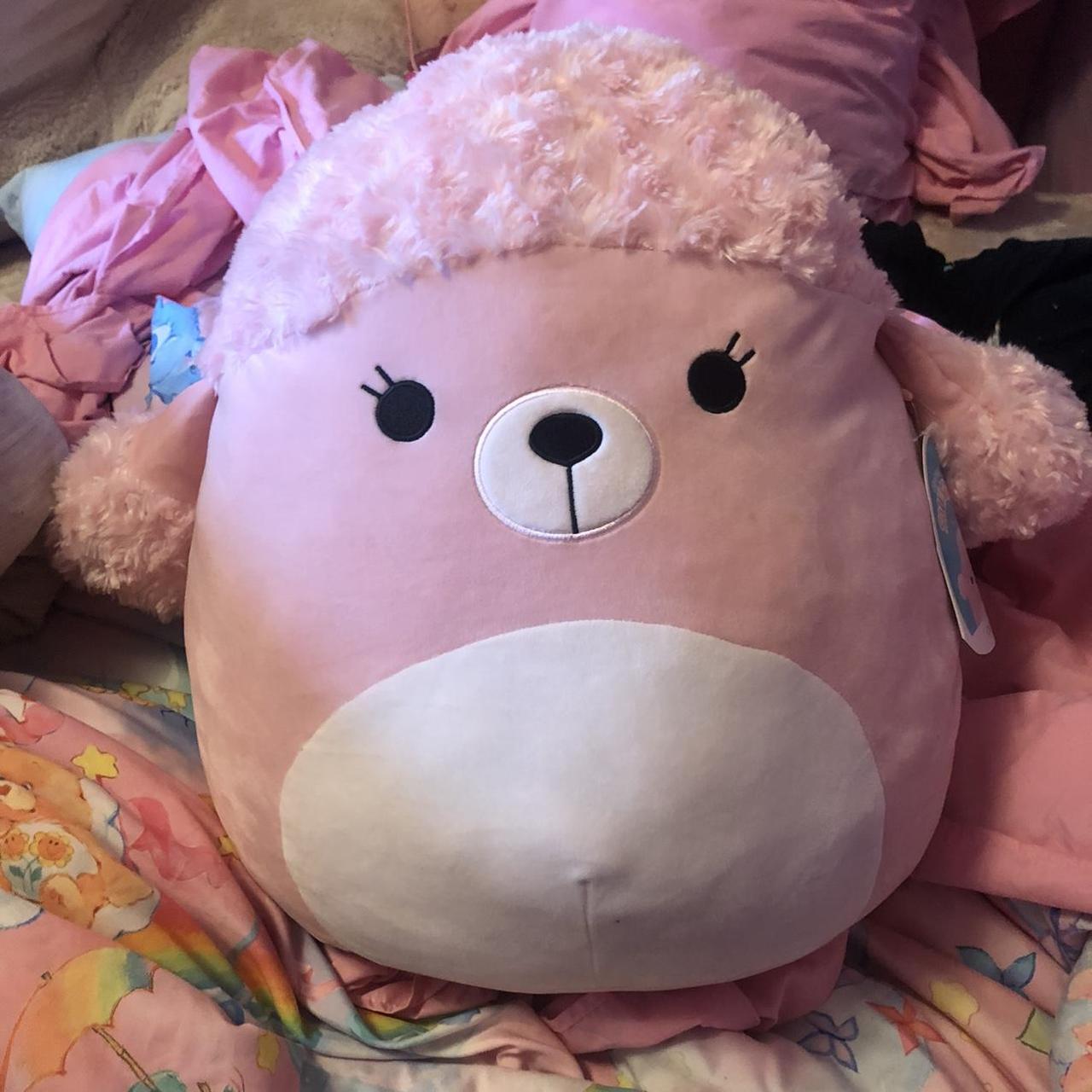 poodle squishmallow