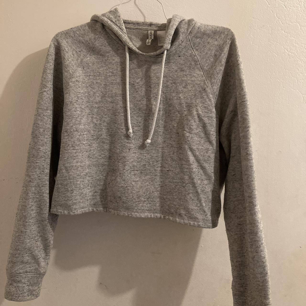 Hoodie discount crop h&m