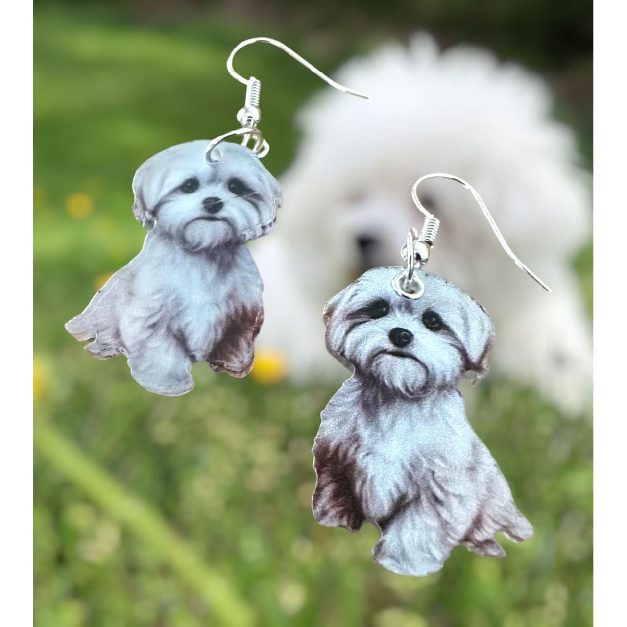 Bichon frise earrings hotsell