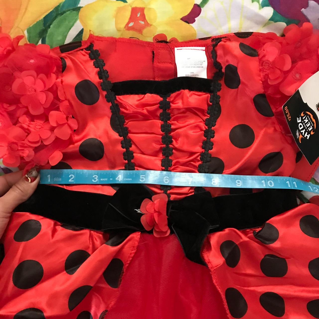 Girls Toddler Hyde and Eek Ladybug Dress w/ Wings - Depop