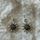 item listed by shannaya_rey