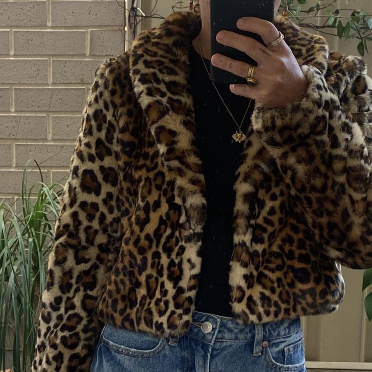 Leopard coat sportsgirl hotsell