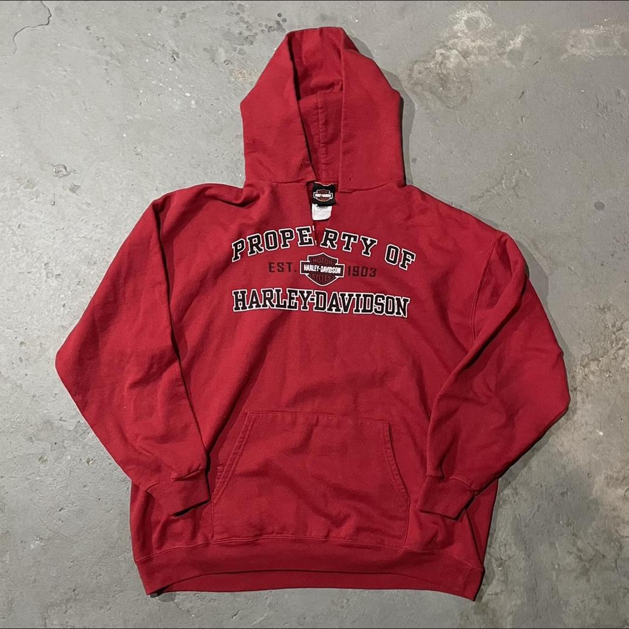 Harley Davidson Men's multi Hoodie | Depop