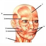seemerch's profile picture