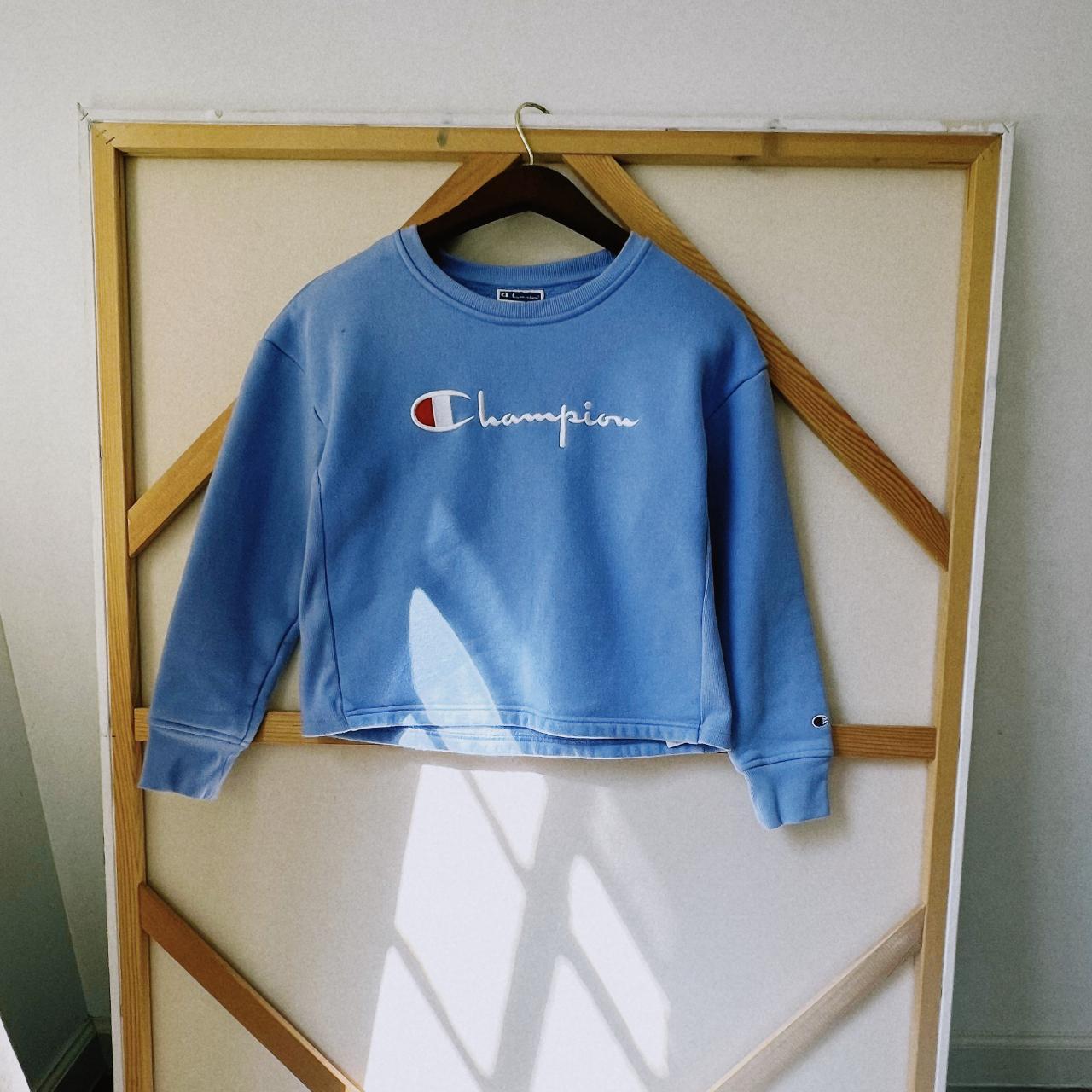 Periwinkle shop champion sweatshirt