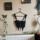 item listed by rachellacey1234