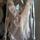 item listed by divinecomedyvintage