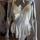 item listed by divinecomedyvintage