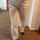 item listed by dollskillxx
