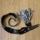 item listed by shiv_aaaaaa
