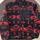 item listed by jambi305