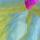 Wild fable women's multi colour crop top