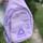 item listed by tgarridos