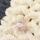 Sylvanian families cream and white dolls accessories