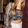 item listed by steketeebella