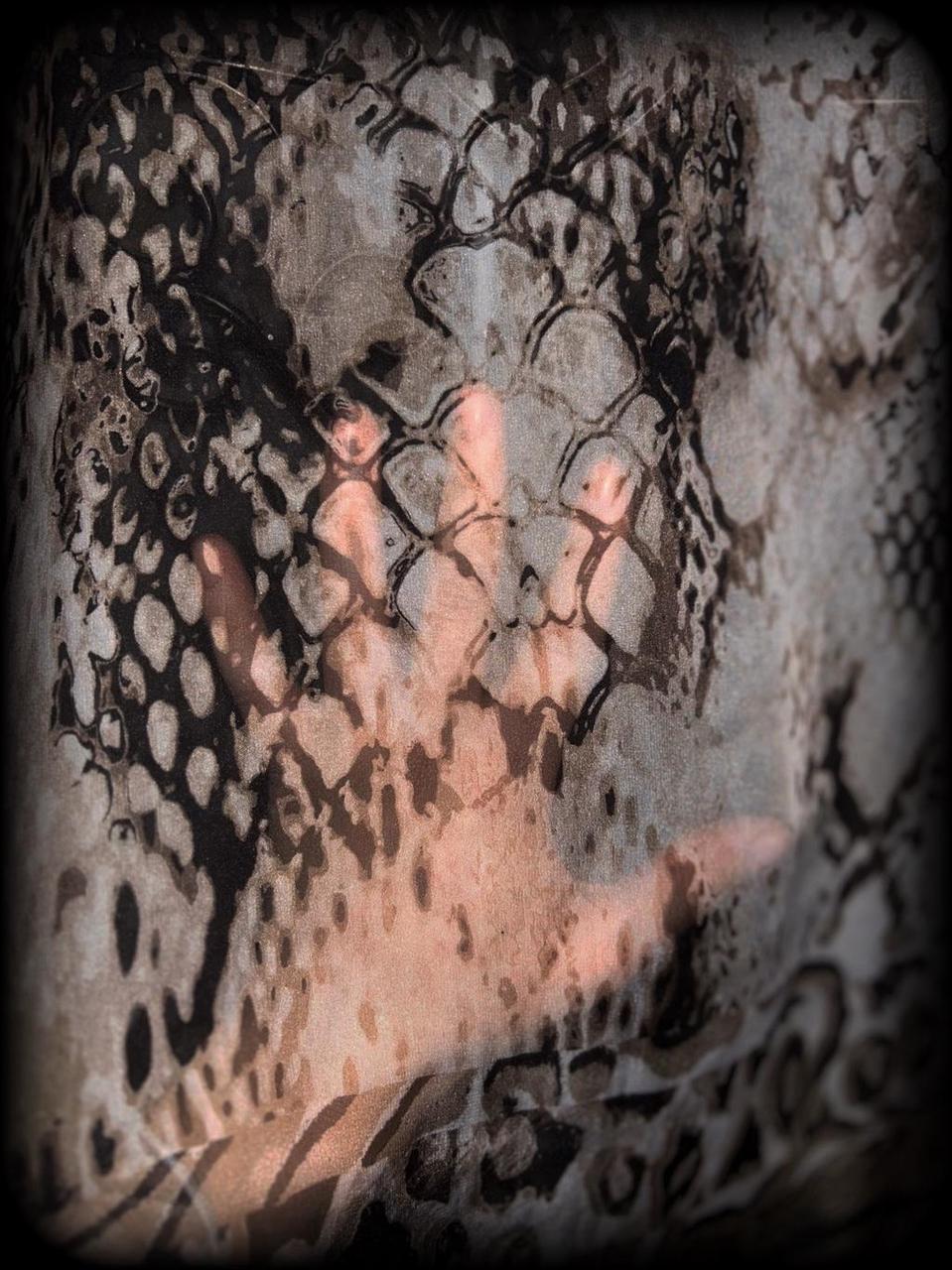 Women's Dress - Brown/Black - M – Python print si… - image 2