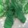 item listed by girlgold