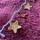 item listed by chloecrochets1