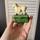Reclaimed vintage green decor home accesories