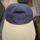 item listed by carshartt