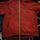 item listed by kevinru1z