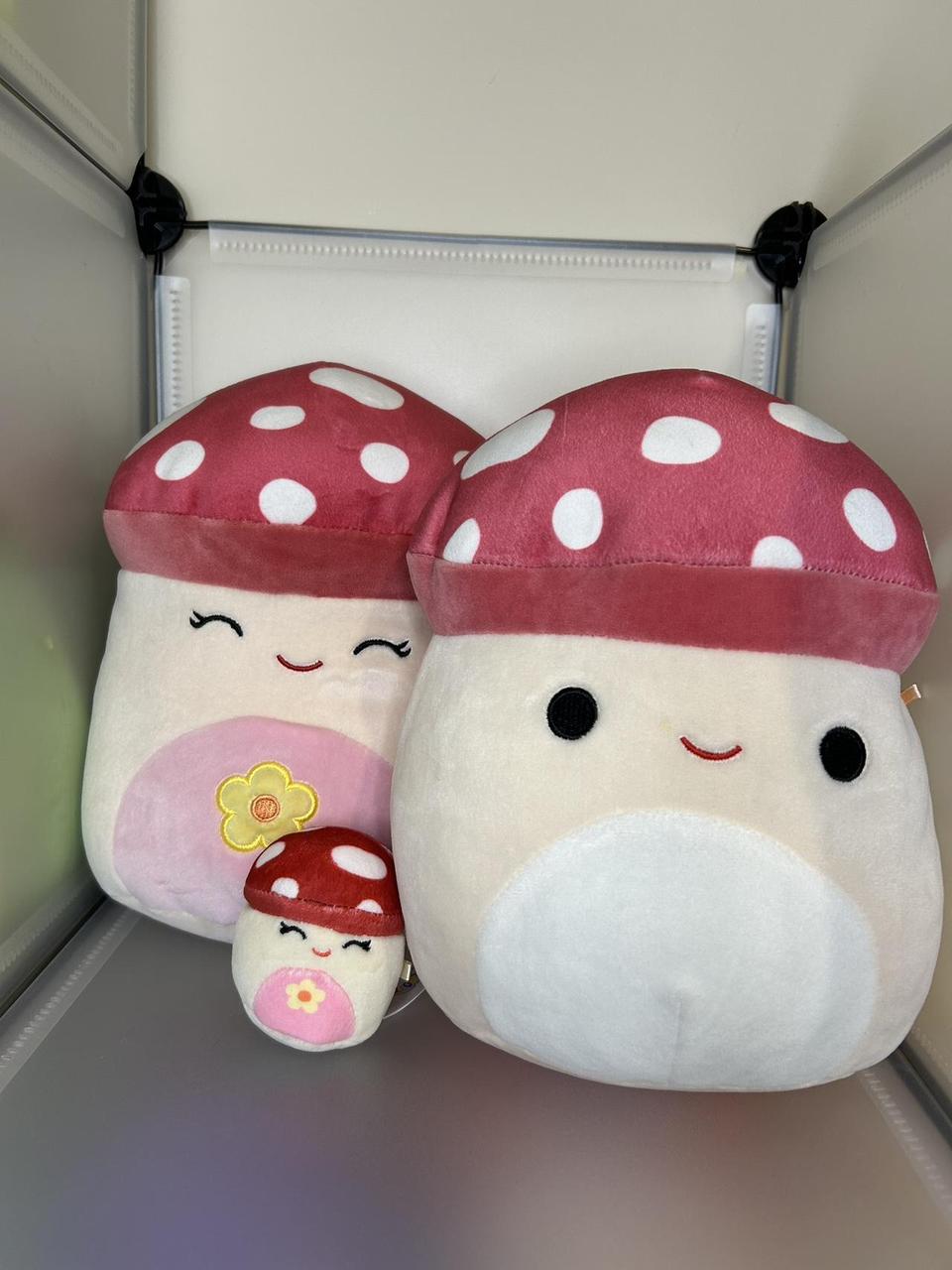 Shops Mushroom Squishmallow Bundle